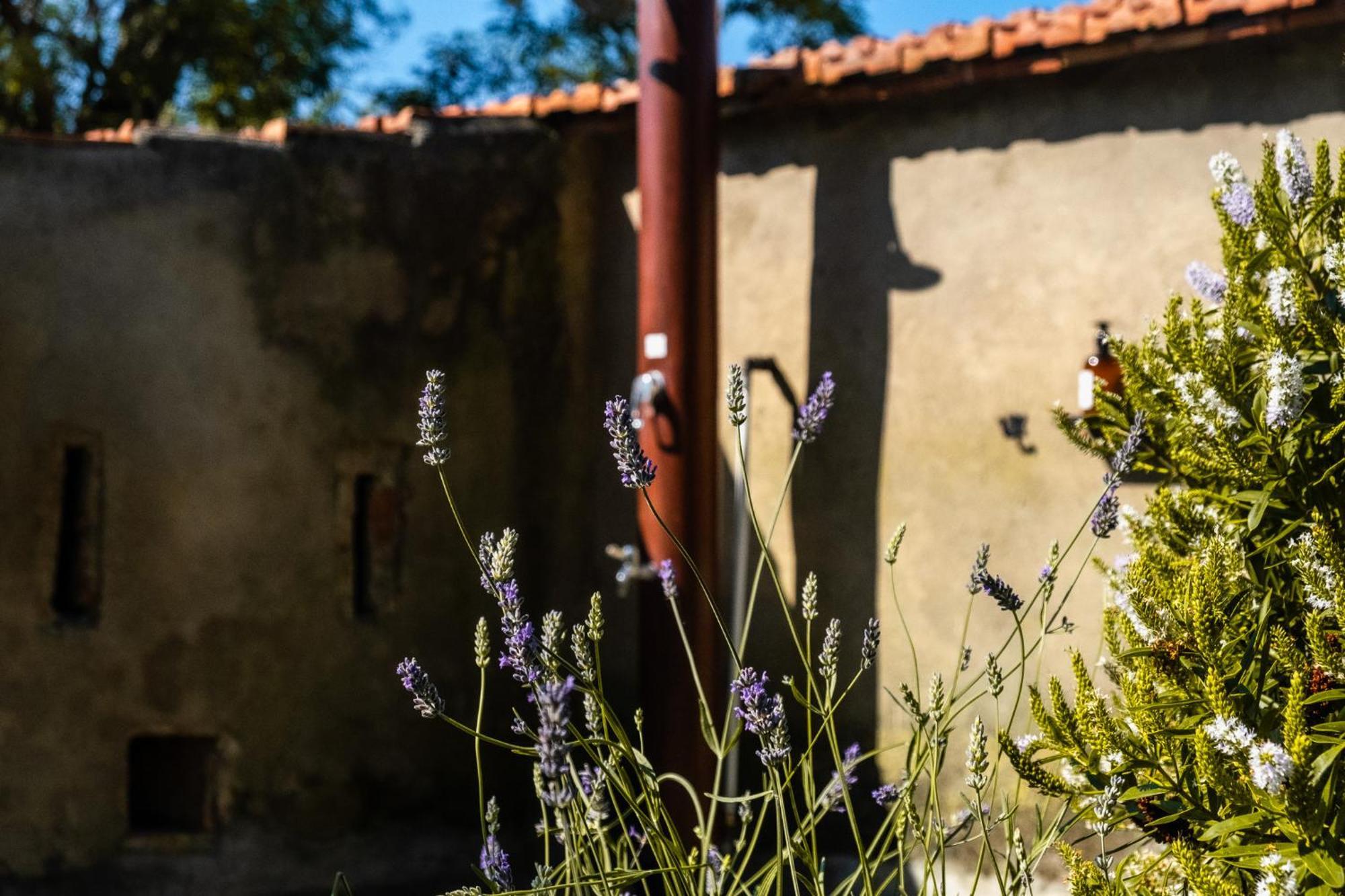 Casenuove III - Casale Con Giardino E Piscina Castiglioncello Buitenkant foto
