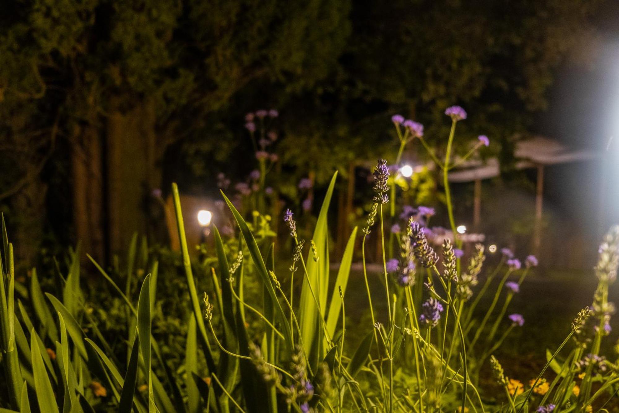 Casenuove III - Casale Con Giardino E Piscina Castiglioncello Buitenkant foto